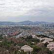 山頂から漢江側の眺め、桜の並木が登山ルートに沿って並んでいるのがよくわかります。