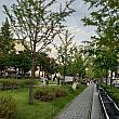 お散歩している人も少ない感じ。
