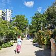 ソウル駅横の高架道路が公園として再整備された『ソウル路7017』がオープンしてはや４年。植えられた植物は大きくなり、植物園のようになってきました。木々は実をつけ秋を感じさせてくれます。