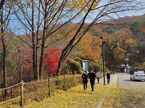 紅葉も終盤の木の葉吹雪。南漢山城は丙子の乱の際、朝鮮の王が清国に屈服させられた場所。韓国人にとっては歴史上最も屈辱的な出来事のひとつだそうです。今では観光客を楽しませる首都圏有数の観光地となっています。