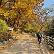 南漢山城道立公園からはトレッキングできる道が整えられています。