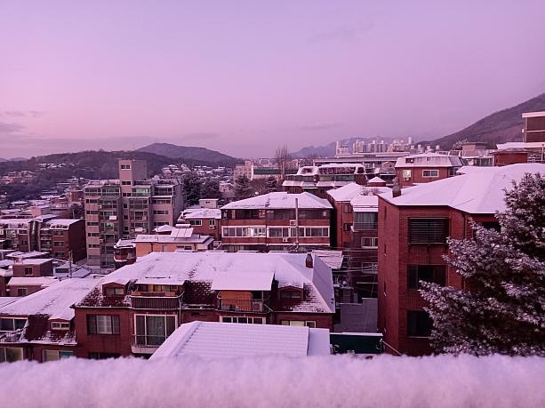 週末はソウルに雪が積もりました！