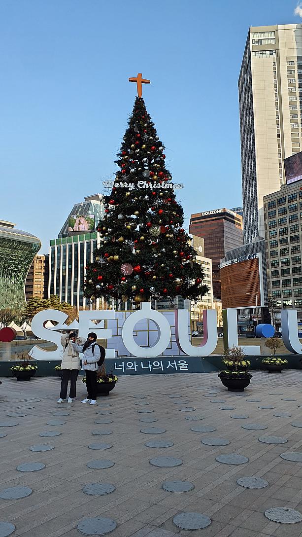 市庁前広場にはクリスマスツリーがそのまんま（笑）