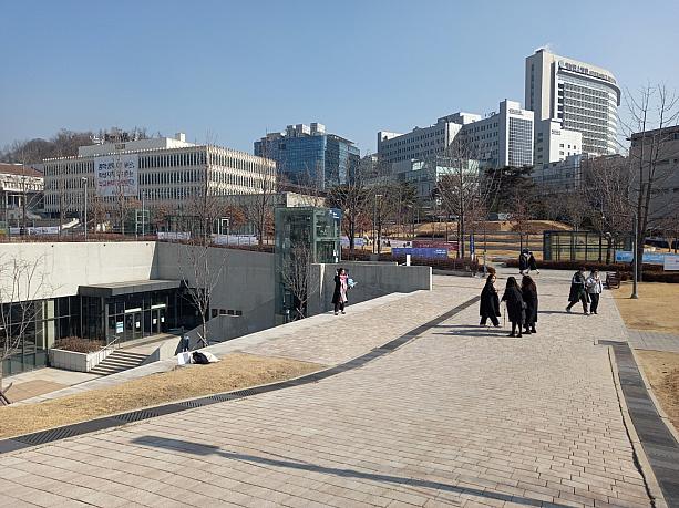 韓国の有名私大『延世大学』も週末に母校で記念写真を撮る姿がちらほら。