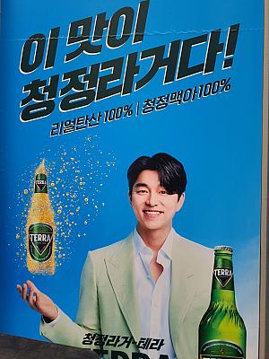 韓国で最も人気の高いビールと言えばTERRAではないでしょうか。TERRAのCMキャラクターに何年も抜擢され続けているコン・ユさんの、広報物は何パターンも存在しています。ビジネス街においてはもっとも露出度が高く、CMキングと呼べる存在。