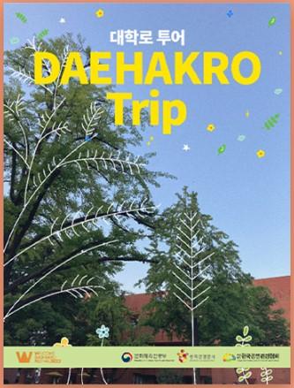 大学路ツアー『DAEHAKRO Trip』に参加してきました! ウェルカム大学路 welcomedaehaknoソウル徒歩ツアー