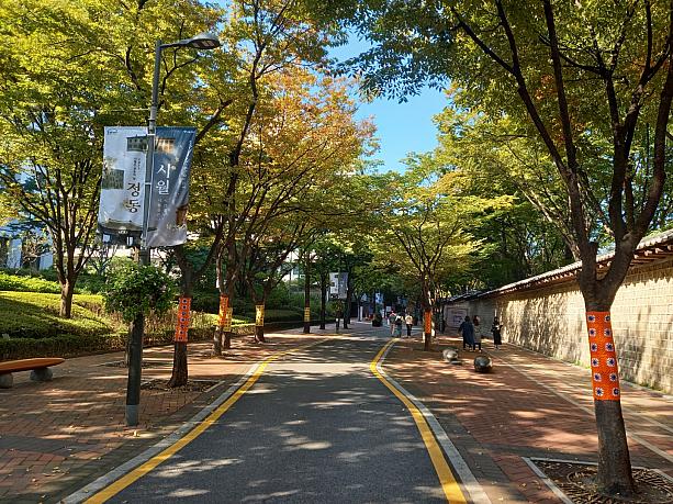 ソウルの紅葉スポットとしても知られる徳寿宮も素敵ですが、気軽に歩けるのがこのお宮横の石垣通り。ここも秋は木々が色づきます。