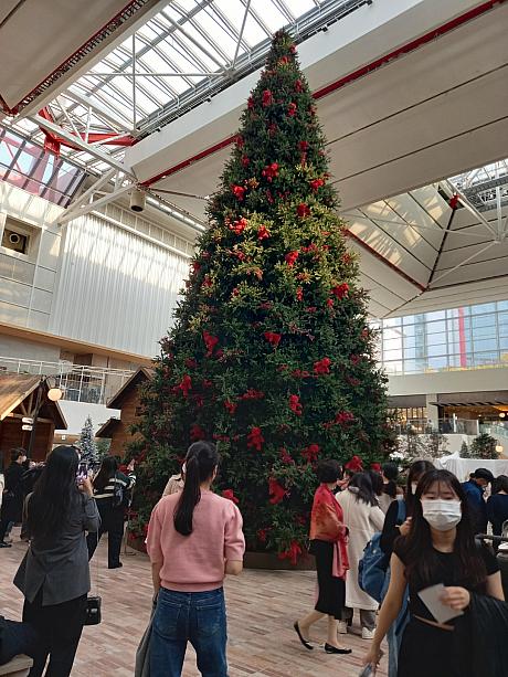 汝矣島の現代デパートにはクリスマスツリーが登場してました！