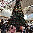 汝矣島の現代デパートにはクリスマスツリーが登場してました！