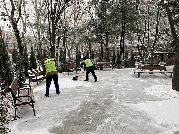 公園も管理の方がきれいに雪を整理しています。