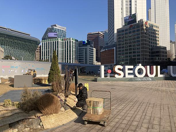 ソウル市庁広場では造営の方がせっせと作業中。まだまだ寒い日が続くので、花壇の手入れは欠かせません。