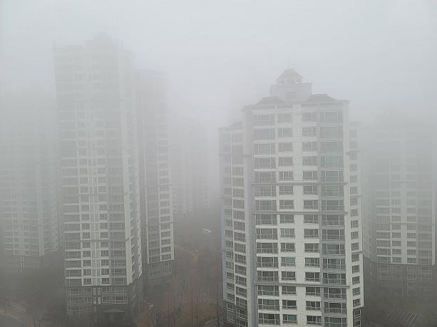 どこもかしこも真っ白な霧だらけ。昨晩から明け方にかけて雨がたくさん降ったら、すごい霧に！