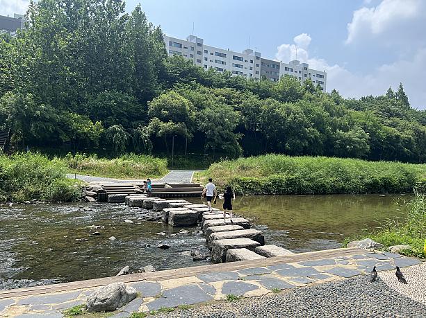 川の反対側に渡るために飛石橋が何か所にも造られています。飛び石橋（징검다리）は韓国人にとってノスタルジーを感じるものだそうです。
