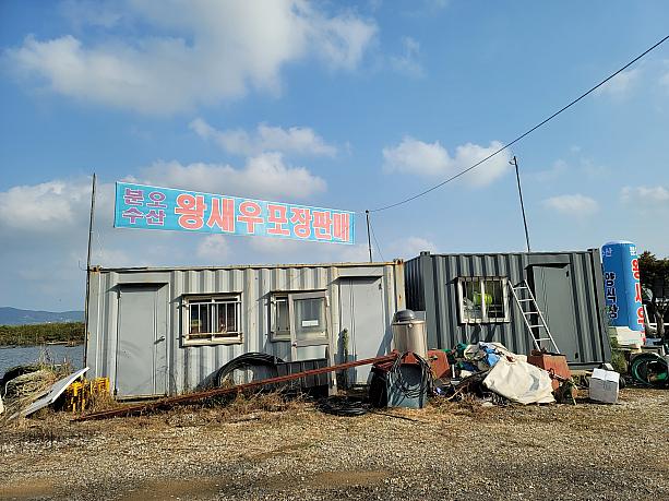 江華島の道路沿いにいくつか見える養殖の大エビが食べられる店。