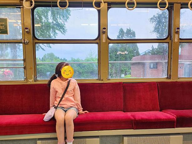 電車内は、まるで映画「千と千尋の神隠し」でカオナシと一緒に乗車している一場面のよう。