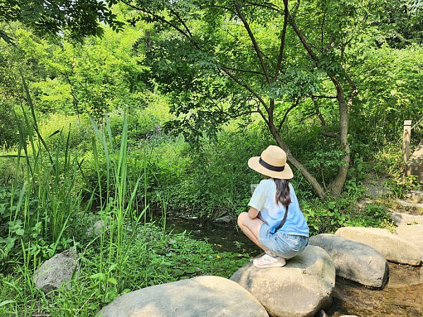 緑に囲まれた漢江（ハンガン）の支流である蘭芝川（ナンジチョン）の畔です。都会の中のオアシス感あります。
