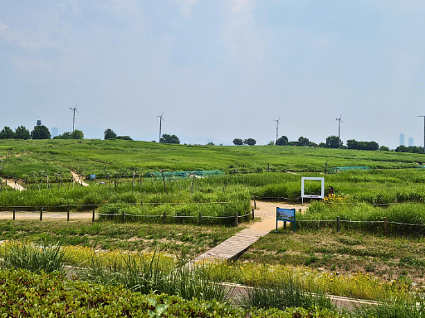 目の前いっぱいに広がる緑の風景。ここが元々、ごみの山だったとはちょっと信じられません。