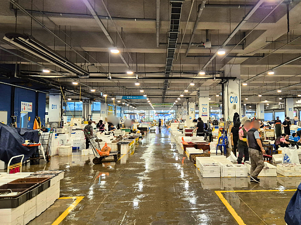 まずは卸売市場に訪問～。