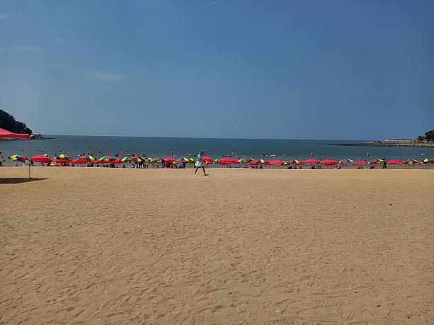 浜辺にパラソルがずらり~！