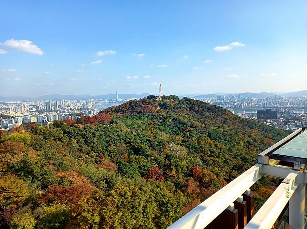 タワー１階からから見るとこんな感じ~。紅色の南山を楽しんでみてくださ~い＾＾