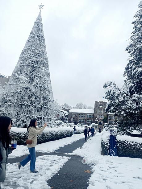 突然の雪に、写真を撮っている人もたくさん見かけました＾＾