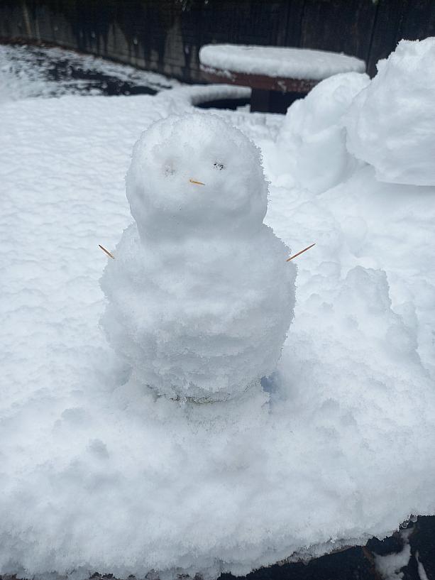 今年の冬は雪がけっこう降るかもしれませんネ！