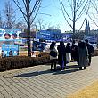 韓国の有名私大の一つである延世大学では、２月に入って、こんな先輩の卒業を祝う垂れ幕が大学中に掛かり始めました~。