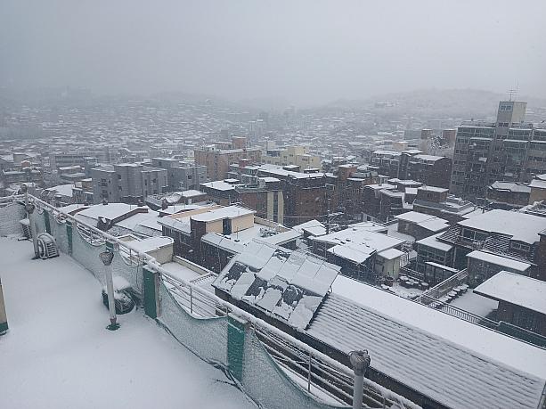 春を到来を感じる３月のソウルに突然積雪!