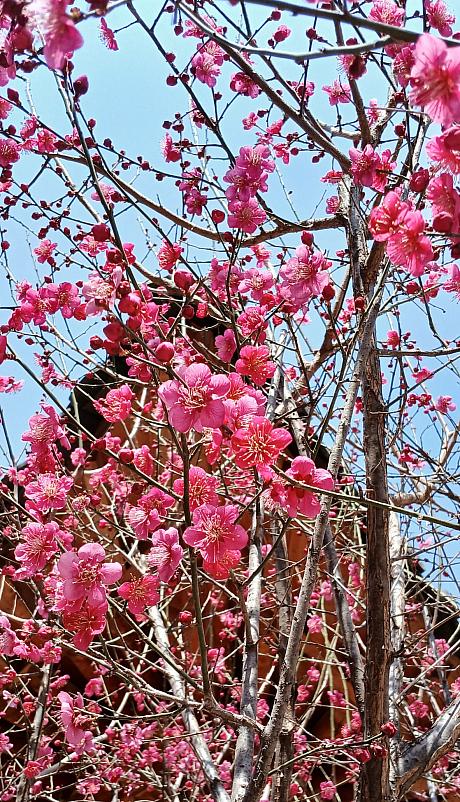 もうすぐ４月ですね♪何かをはじめるのにぴったり！