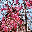 もうすぐ４月ですね♪何かをはじめるのにぴったり！