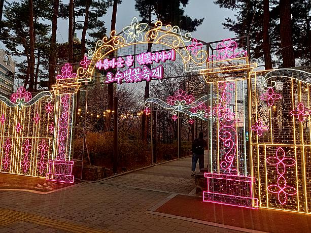 ４月２日（水）から桜祭りスタートとのことで、さっそくナビも行ってみました！