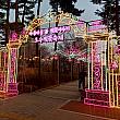 ４月２日（水）から桜祭りスタートとのことで、さっそくナビも行ってみました！