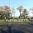 小さいお子ちゃまたちもいますね~＾＾