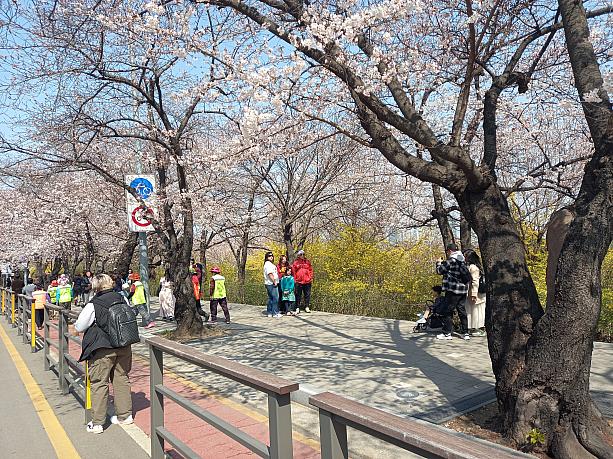 皆さん、あちこちで写真撮影＾＾