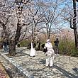ポーズが決まっています＾＾