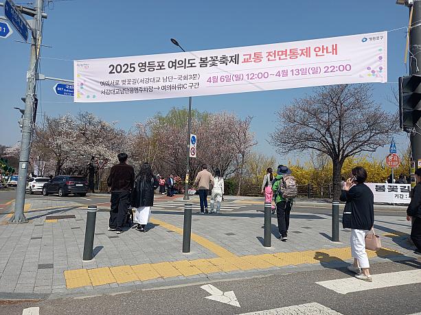 その２日前から、会場となる輪中路は桜祭りの準備のために通行規制に。