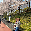 桜の下で素敵な写真を撮ってきました。