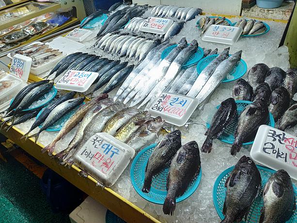 済州の太刀魚、２匹４万ウォン！！