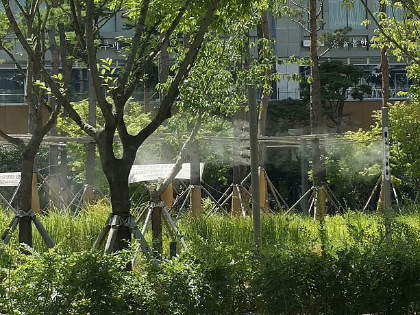 暑くて、木々にも水を噴射しているのかな？近くを通ったら、水かけられそう～＾＾；