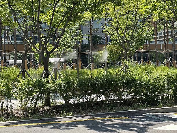 ふと見ると、アステリウム近くの公園で水みたいなものが空中に噴射されています。