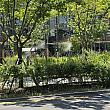 ふと見ると、アステリウム近くの公園で水みたいなものが空中に噴射されています。