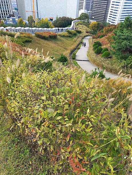 朝晩ずいぶん涼しくなってきたソウル。南山で秋の散策はいかが？
