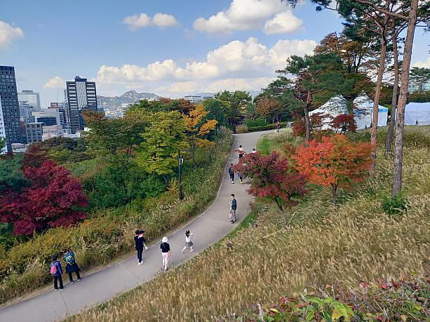 あちこちの木々が少しずつ秋の色に変わりつつありますネ！