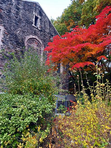 歴史のある建物と真っ赤なもみじ~、