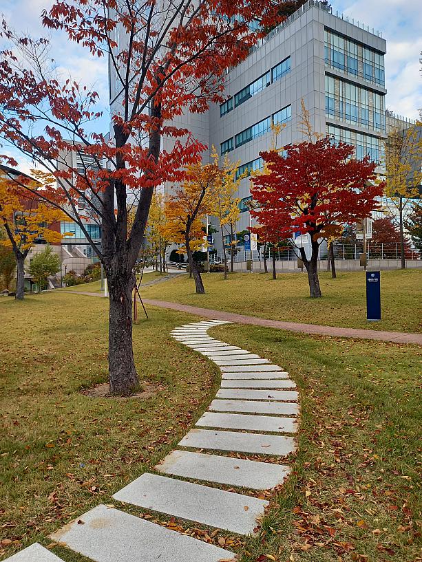 お隣、サブランス病院側には色鮮やかな散歩道が~。