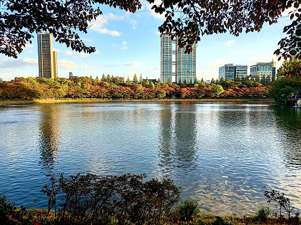 ソウルの紅葉スポットとしても知られている石村湖＾＾