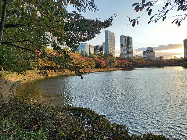 一周回ると１時間から１時間半ほど。秋の散歩にいかが？