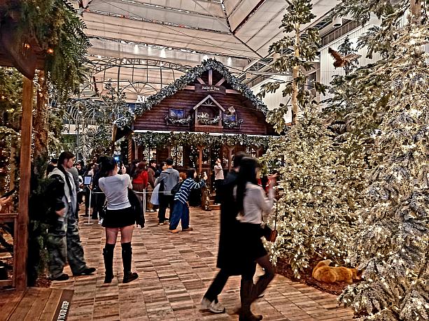 汝矣島の現代からナビでした~！