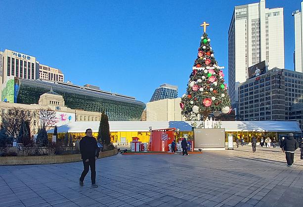 大きなツリーの後ろにあります~。