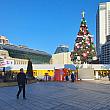 大きなツリーの後ろにあります~。
